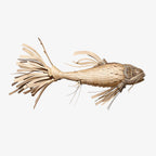 Lustra Chandelier Wooden Fish Handmade