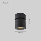 Arisha Modern LED Ceiling Light Spotlight Bedroom