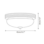 Ceiling Light Canopy and Glass Shade Classic Round Modern