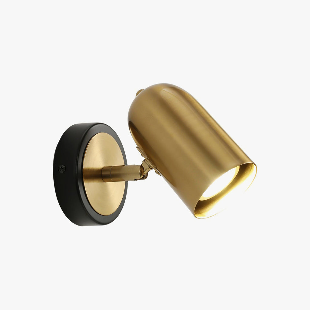 Fighter Modern Minimalist Gold Wall Lamp