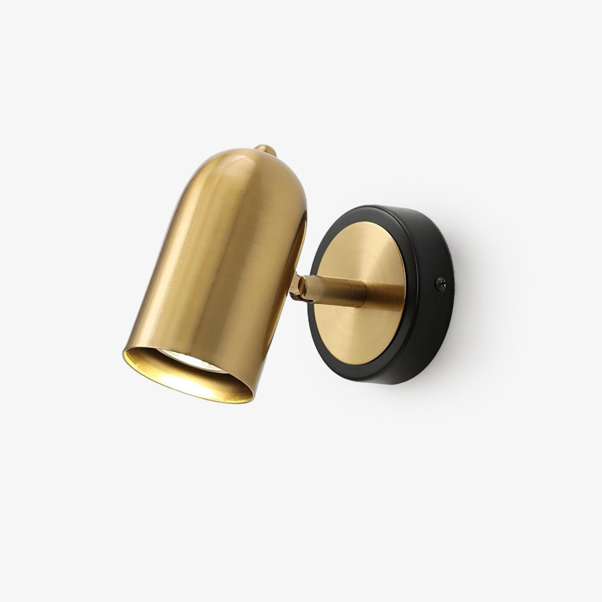 Fighter Modern Minimalist Gold Wall Lamp