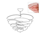 Aurora Chandelier Gold Murano Glass Petal Luxury