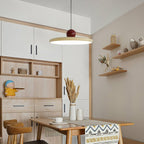 Aelora Minimalistic Pendant Lamp