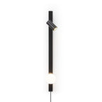Evlaeiel Long Arm Plug-in Brass Glass Wall Light