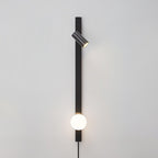 Evlaeiel Long Arm Plug-in Brass Glass Wall Light