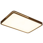 Vizoros Modern Minimalist Ceiling Light