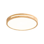 Vizoros Modern Minimalist Ceiling Light