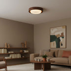 Lunor Modern Acrylic Ceiling Light