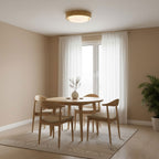 Lunor Modern Acrylic Ceiling Light