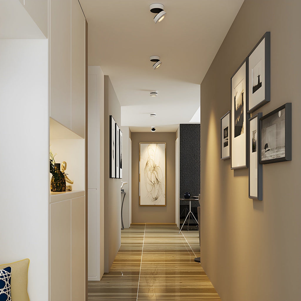 Colorara Modern Minimalist Adjustable Surface Downlight Ceiling lamp