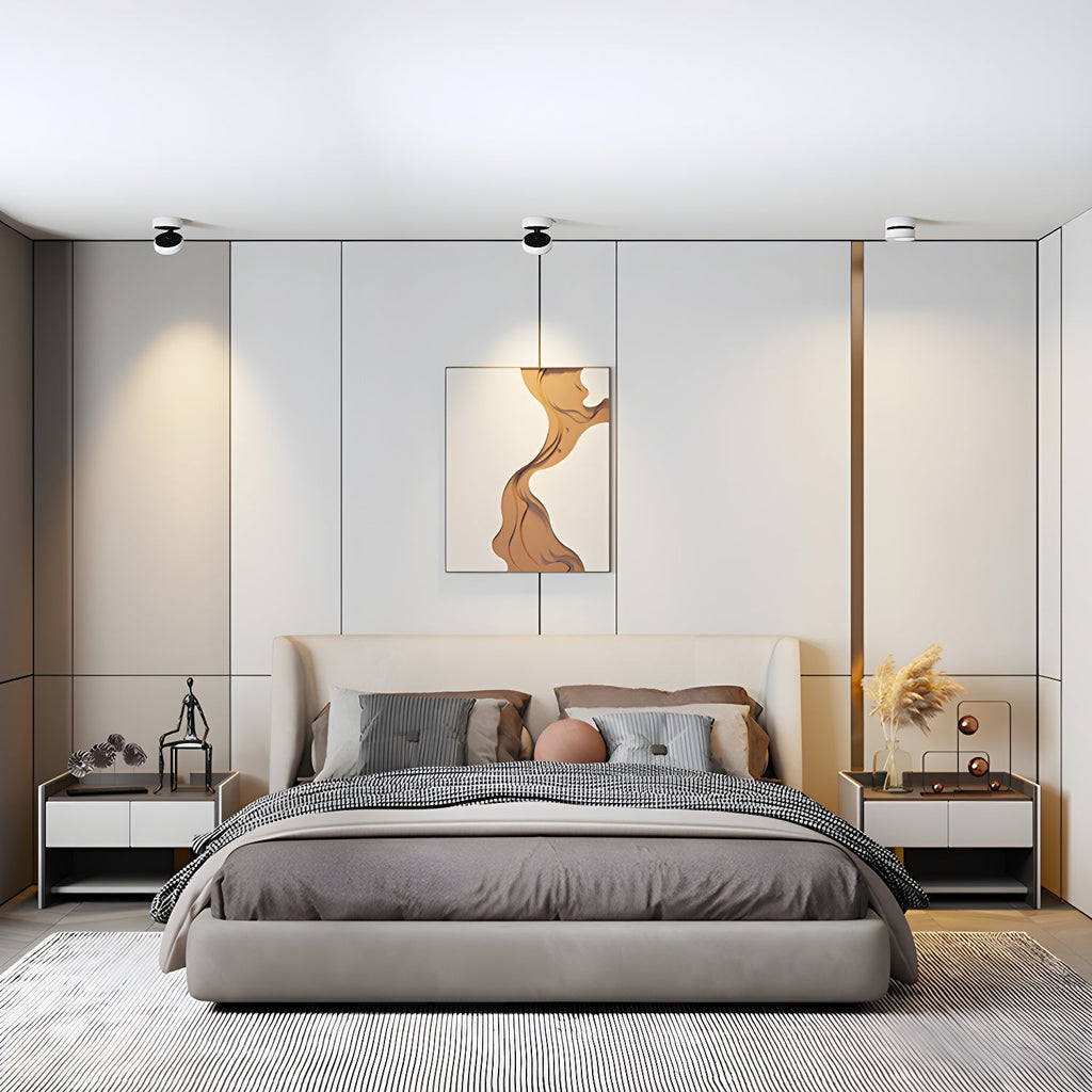 Colorara Modern Minimalist Adjustable Surface Downlight Ceiling lamp