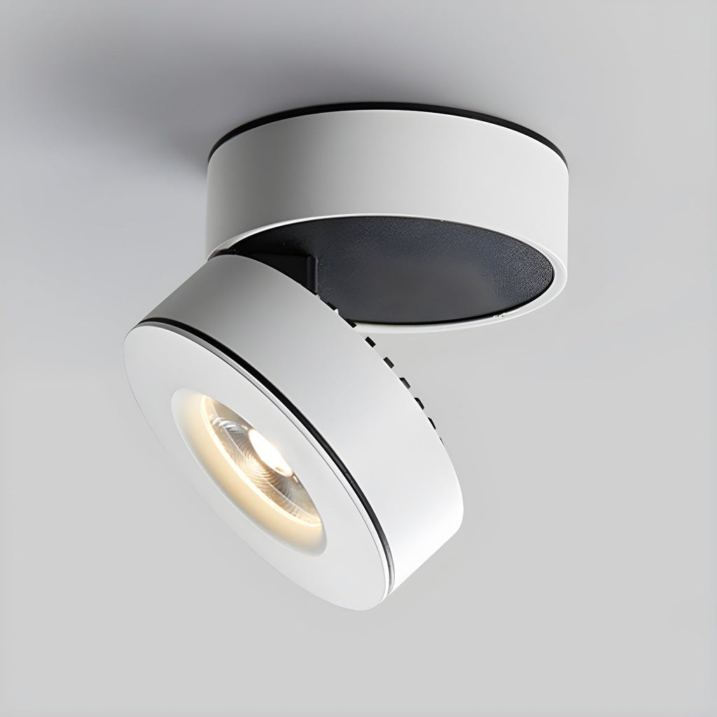 Colorara Modern Minimalist Adjustable Surface Downlight Ceiling lamp