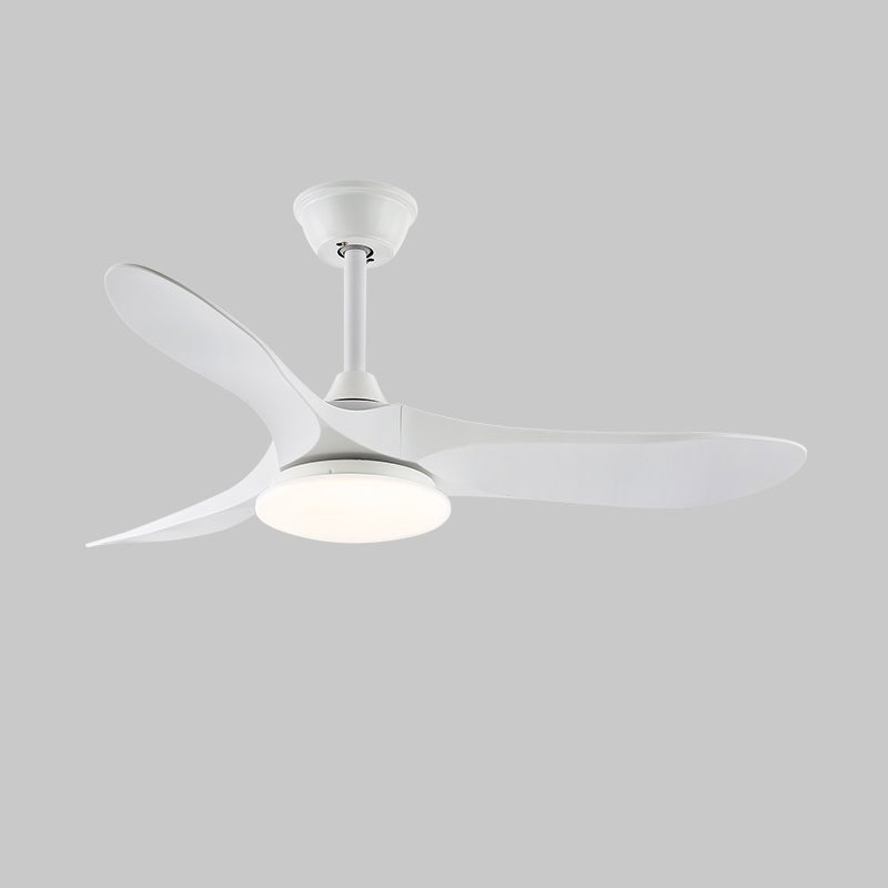 Elora Minimalist Ceiling Fan Light