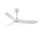 Elora Minimalist Ceiling Fan Light