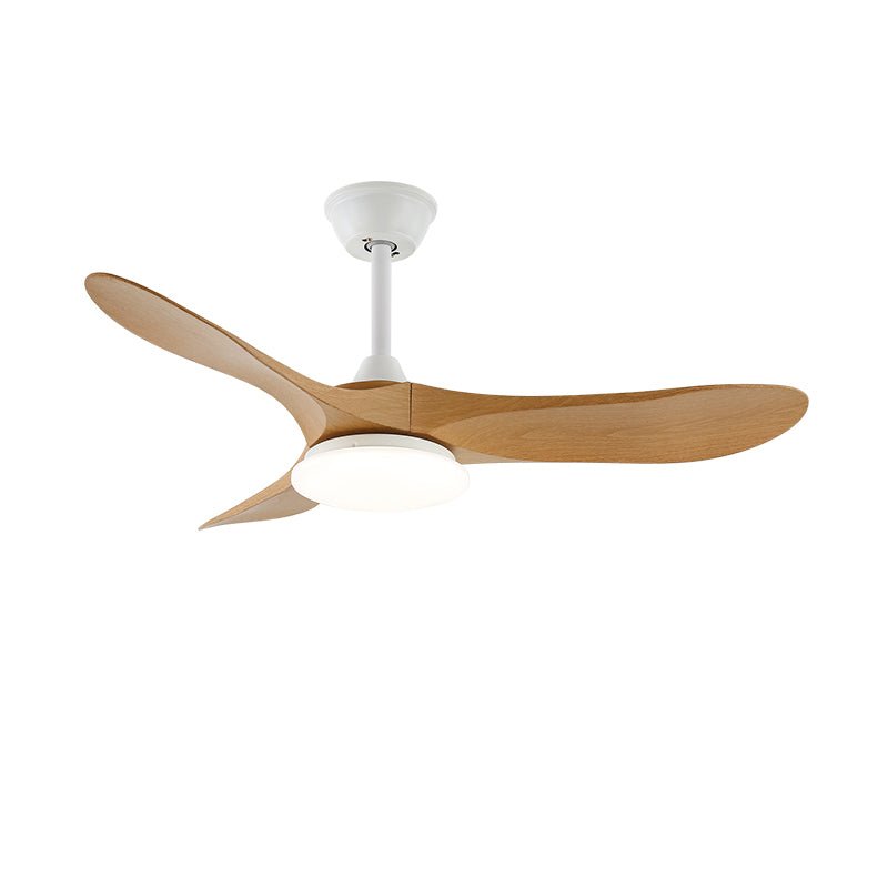 Elora Minimalist Ceiling Fan Light