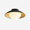 Ceiling Light Canopy Glass Globe Modern Minimalist