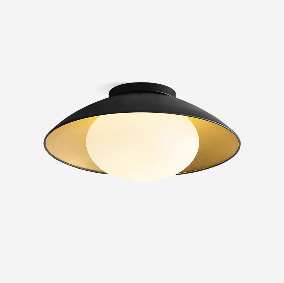 Ceiling Light Canopy Glass Globe Modern Minimalist