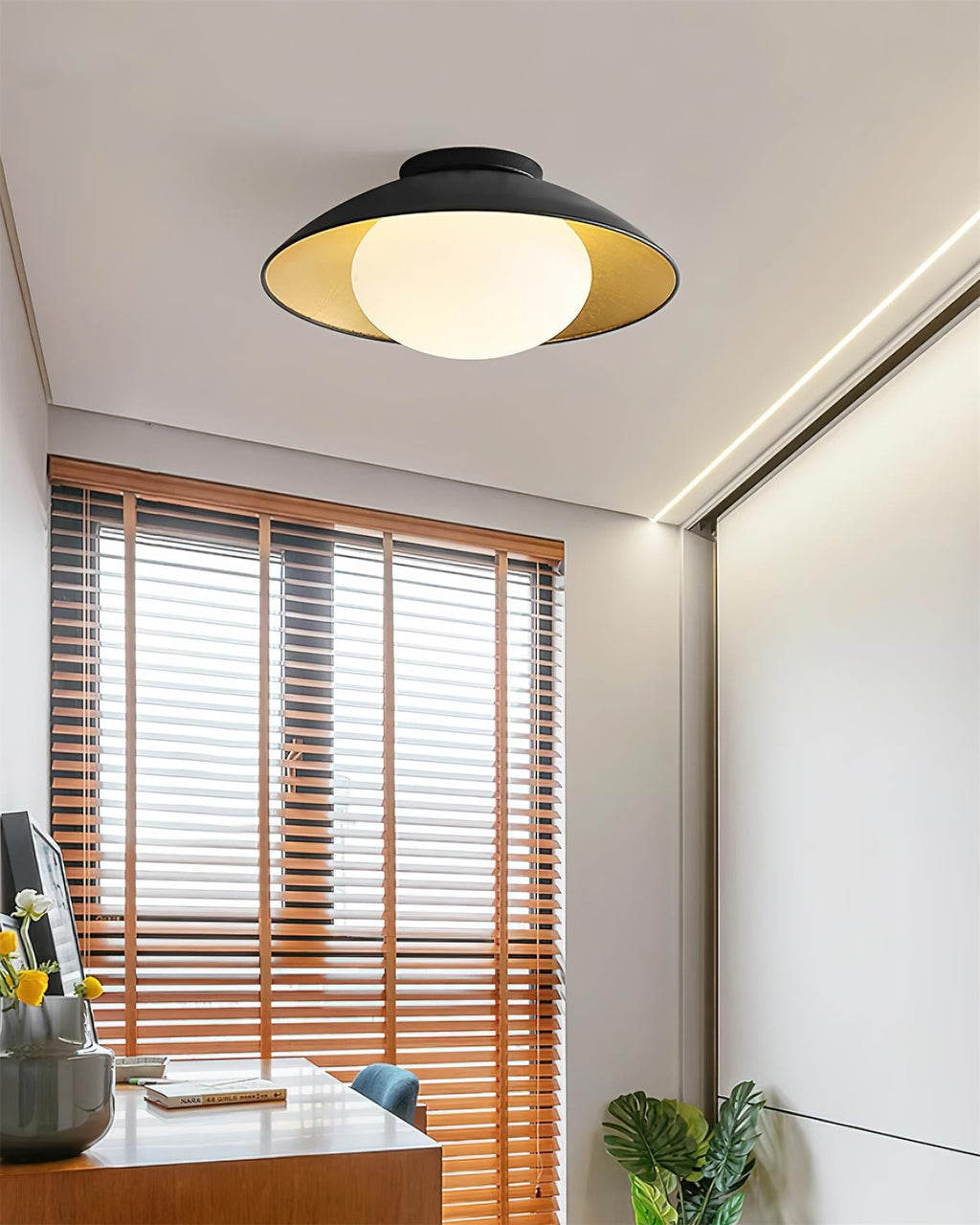 Ceiling Light Canopy Glass Globe Modern Minimalist