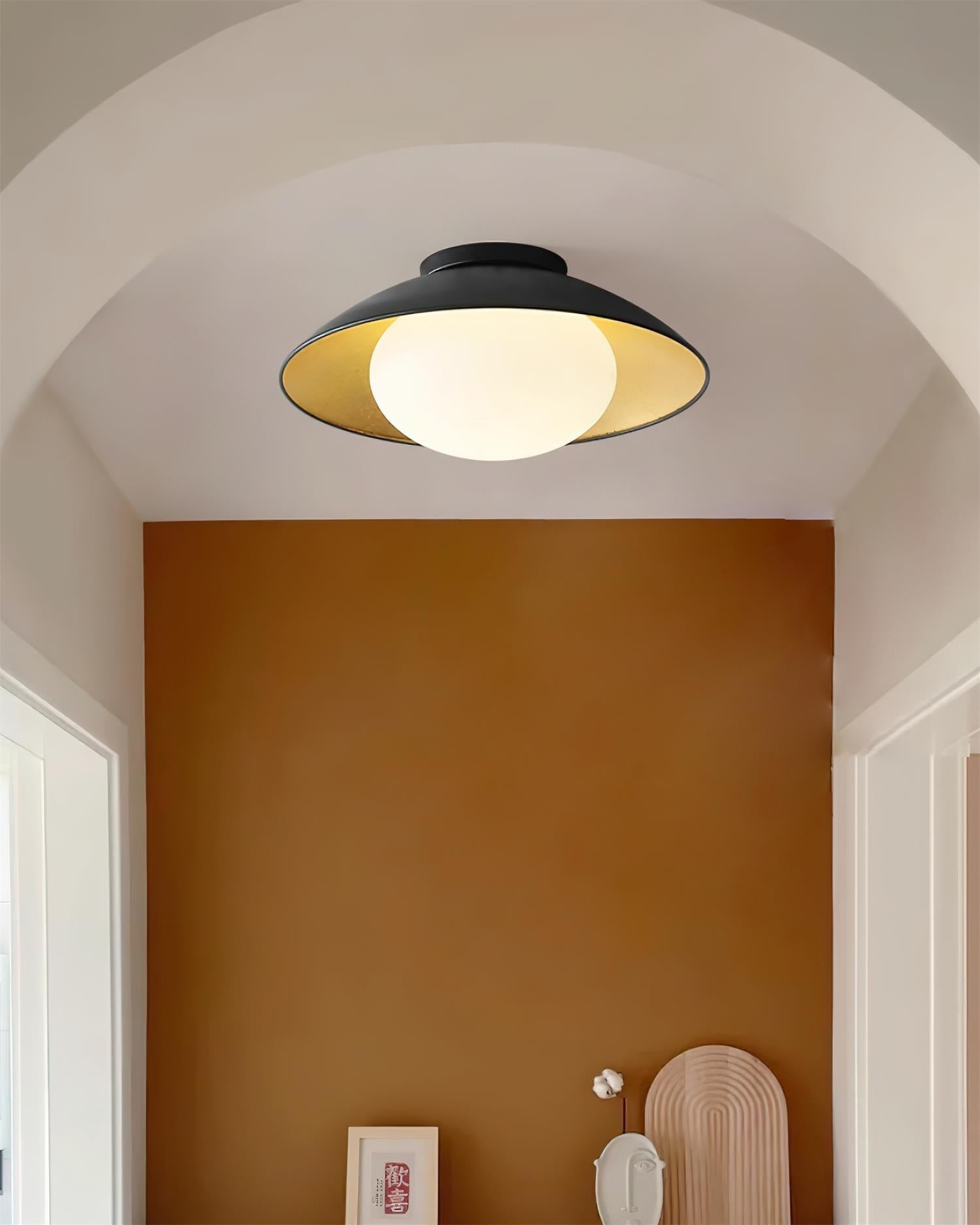 Ceiling Light Canopy Glass Globe Modern Minimalist