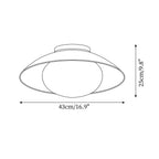 Ceiling Light Canopy Glass Globe Modern Minimalist
