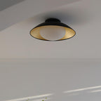 Ceiling Light Canopy Glass Globe Modern Minimalist