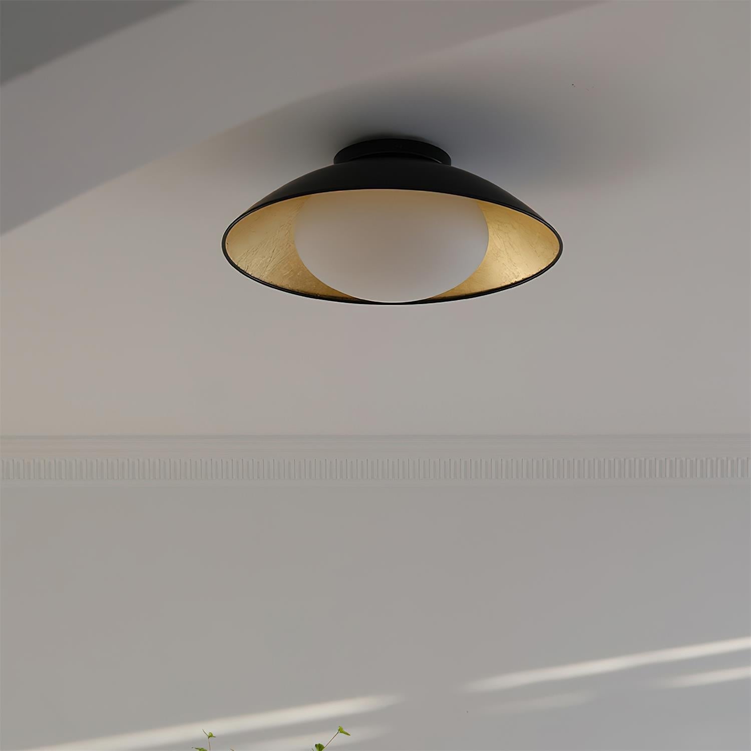 Ceiling Light Canopy Glass Globe Modern Minimalist