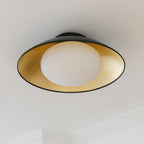 Ceiling Light Canopy Glass Globe Modern Minimalist