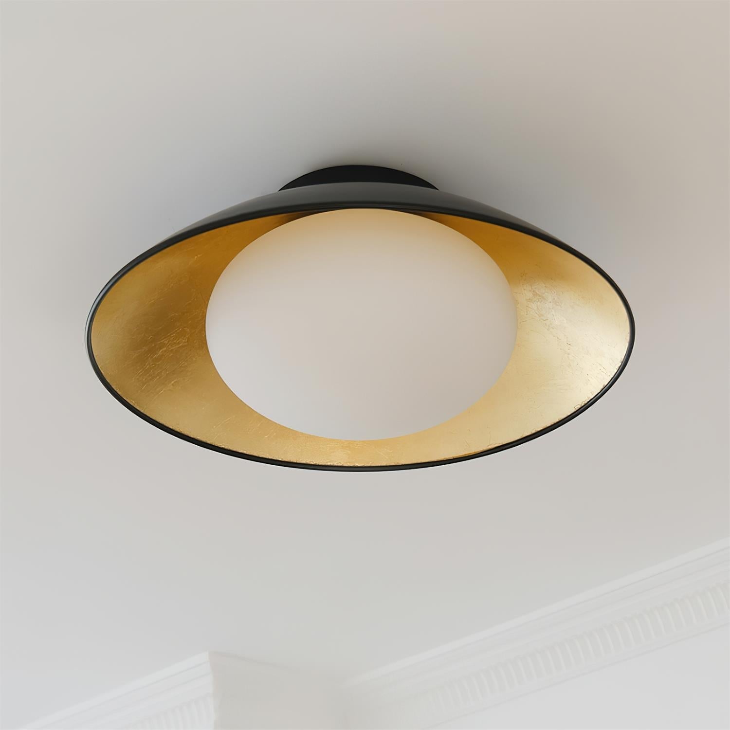 Ceiling Light Canopy Glass Globe Modern Minimalist