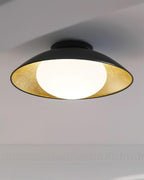 Ceiling Light Canopy Glass Globe Modern Minimalist