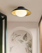 Ceiling Light Canopy Glass Globe Modern Minimalist