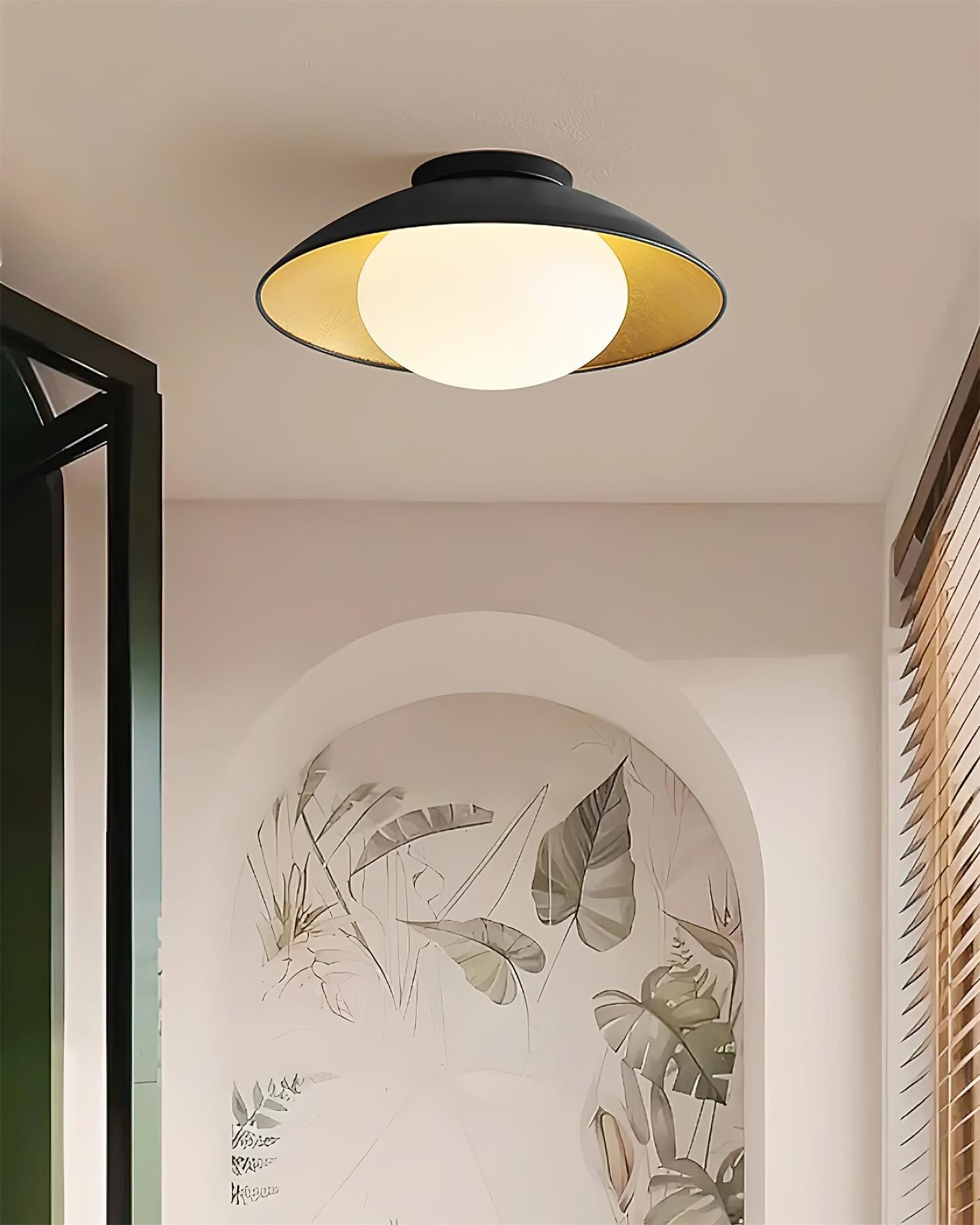 Ceiling Light Canopy Glass Globe Modern Minimalist