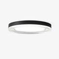 Orbit Fashion Aluminum Ceiling Lamp