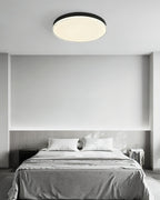 Cemariel Modern Minimalist Ceiling Lamp