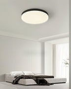 Cemariel Modern Minimalist Ceiling Lamp