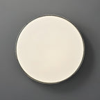 Cemariel Modern Minimalist Ceiling Lamp