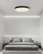 Cemariel Modern Minimalist Ceiling Lamp