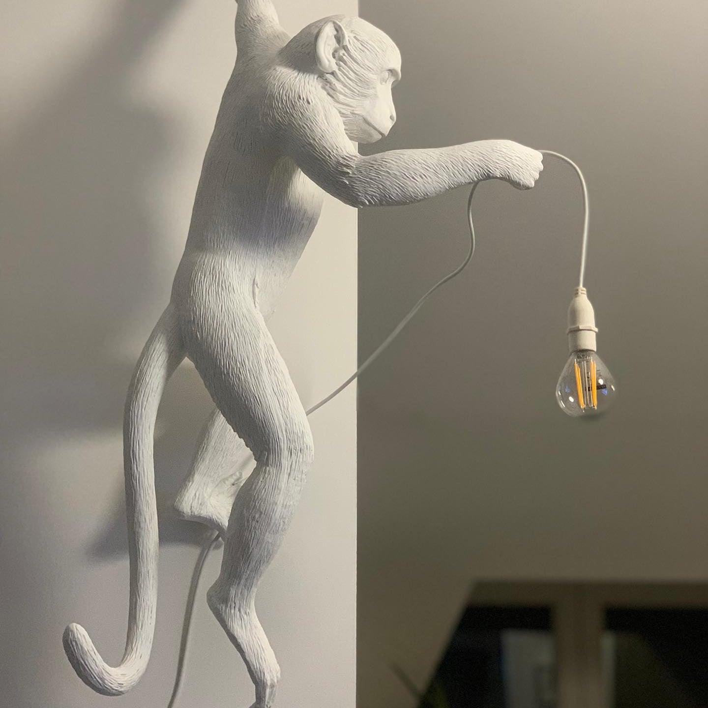 Acoustic Art Unique Monkey Resin Wall Lamp