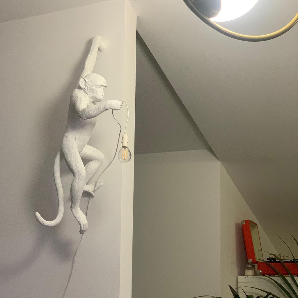 Acoustic Art Unique Monkey Resin Wall Lamp