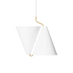 Covarir Modern Minimalist Brass Pendant Lamp