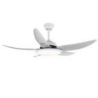 Aquila Modern Ceiling Fan Light