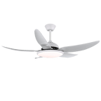 Aquila Modern Ceiling Fan Light