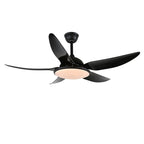 Aquila Modern Ceiling Fan Light