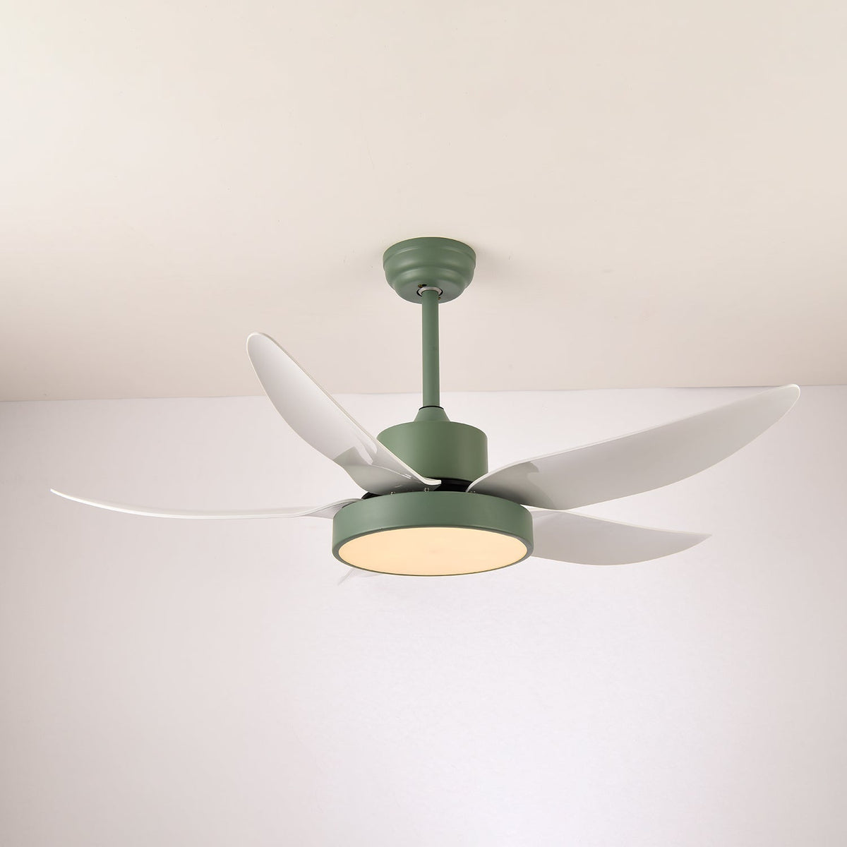 Auron Modern Ceiling Fan Light