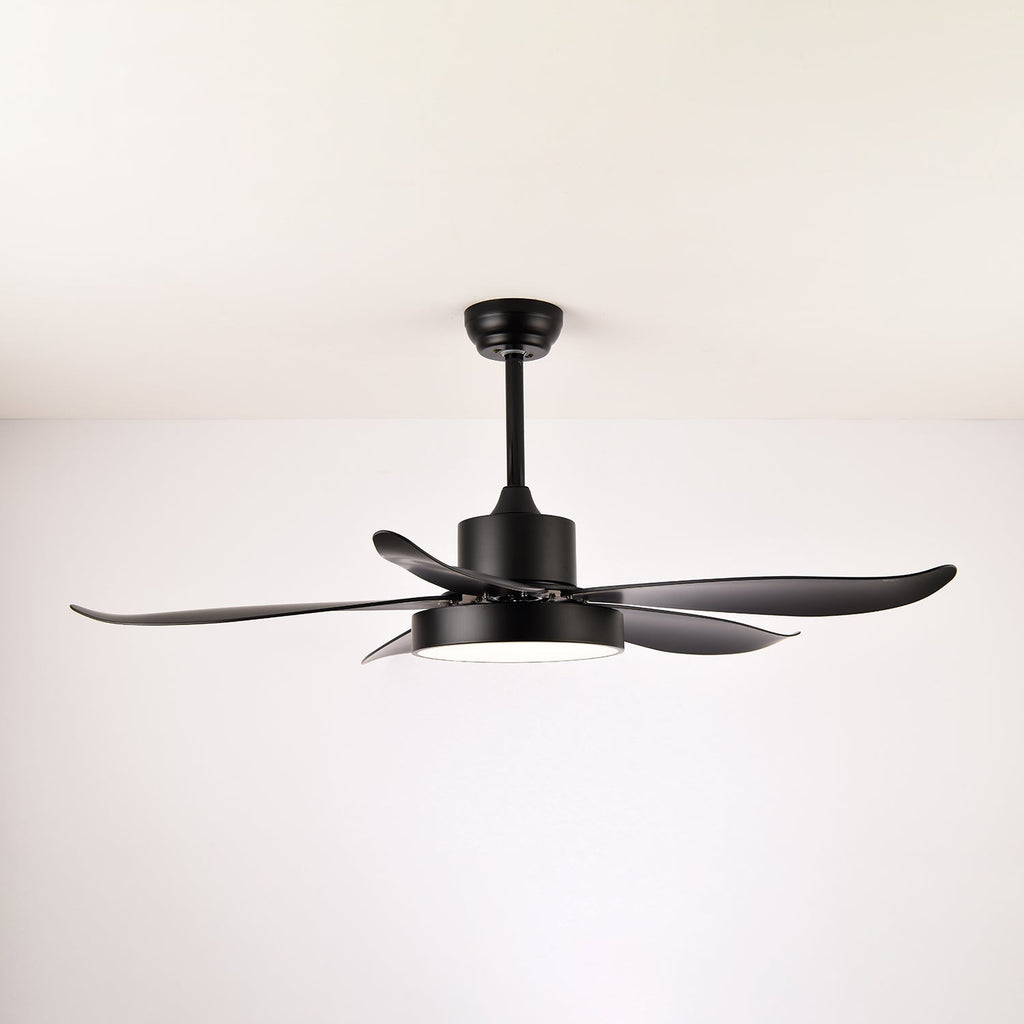 Auron Modern Ceiling Fan Light