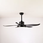 Auron Modern Ceiling Fan Light