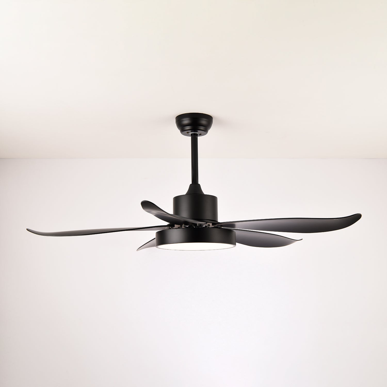 Auron Modern Ceiling Fan Light