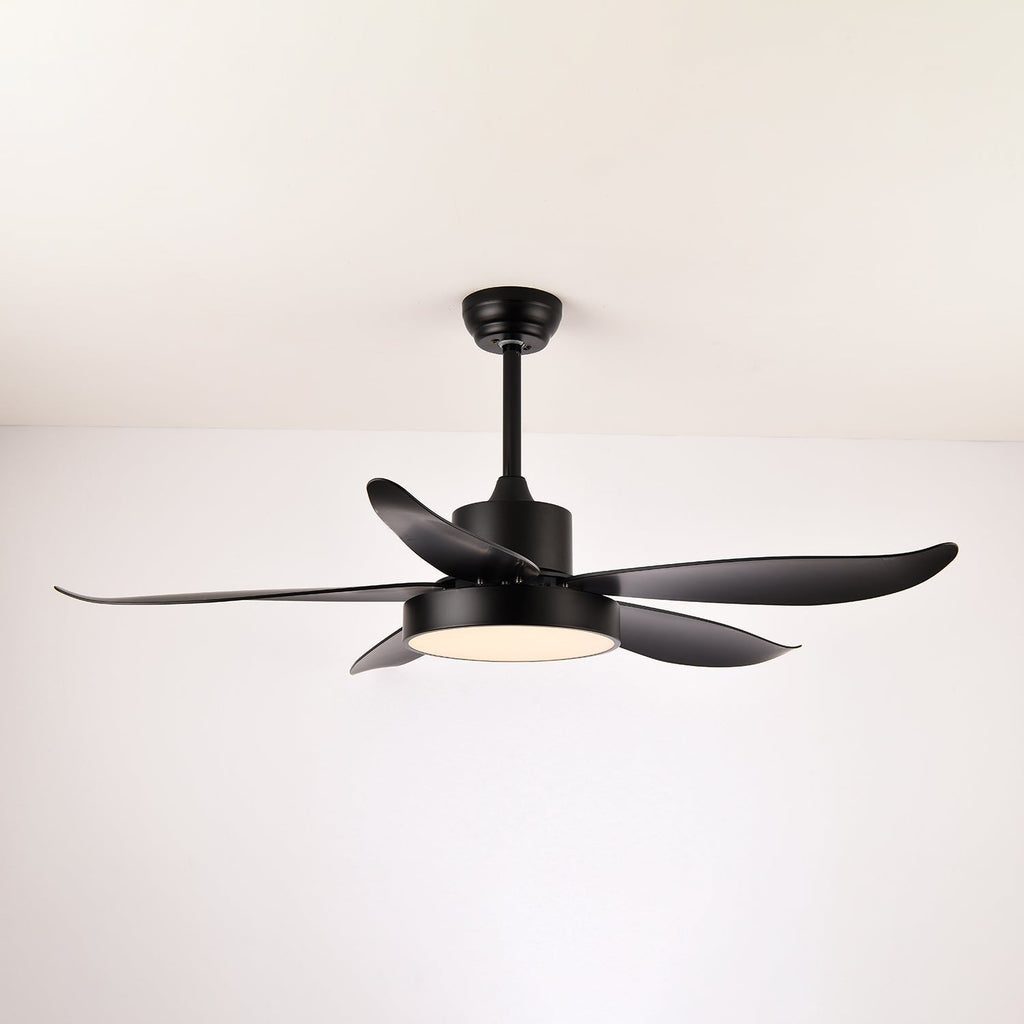 Auron Modern Ceiling Fan Light