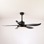 Auron Modern Ceiling Fan Light
