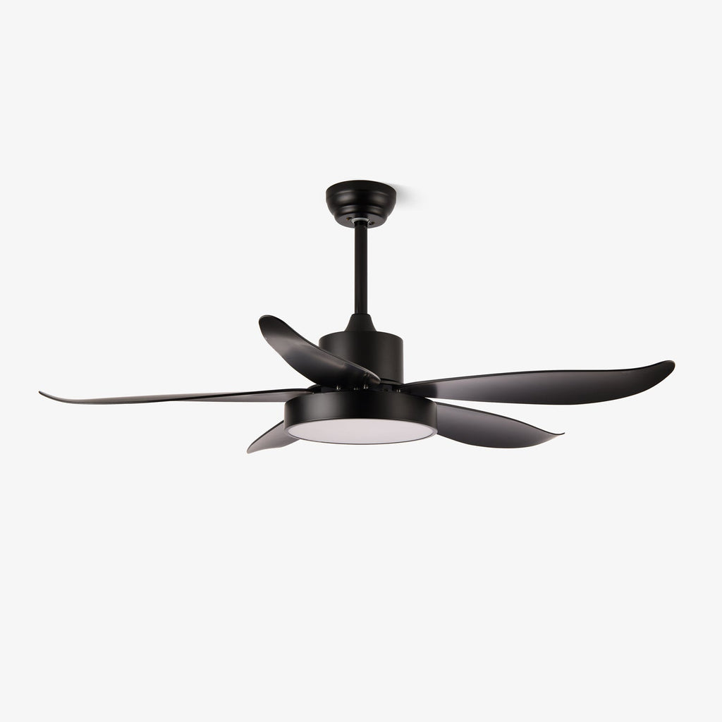 Auron Modern Ceiling Fan Light