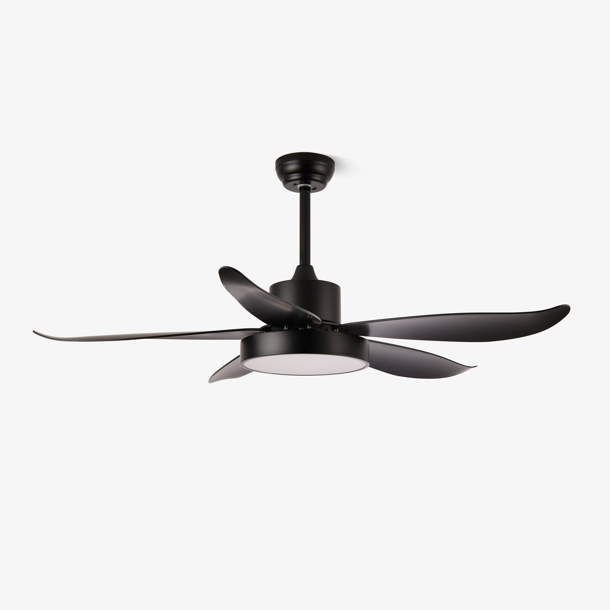 Auron Modern Ceiling Fan Light